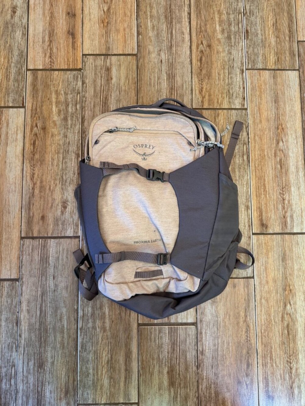 Osprey Proxima Earth Backpack